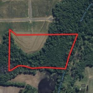 Screenshot_15-1-2026_02737_id.land