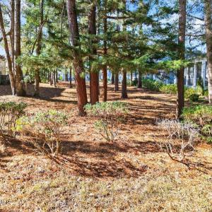 07-kahunaphoto.com--9