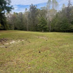 96BC1609-60E6-47B3-A7AB-AFD8F32AE3BB