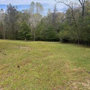 8D7C9C43-CD93-4963-A46D-0A8154A18983