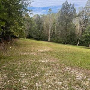 0BB3A83E-A1EC-4E69-9FA8-FAE339A9746A