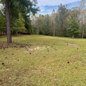 1883E1EE-A045-425A-B0D0-5EBAFFF7F143