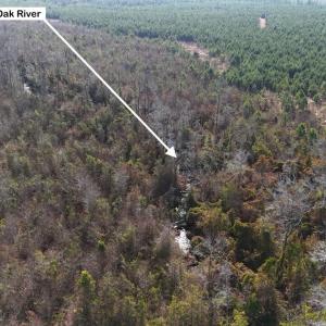 DJI_20260107122701_0586_D Large