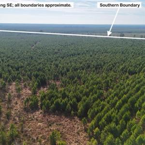 DJI_20260107122620_0584_D Large