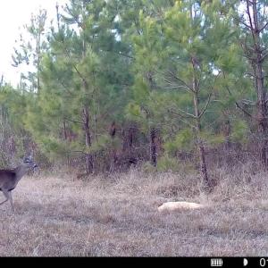 016578005039612-100-2-01122026170045-SYF