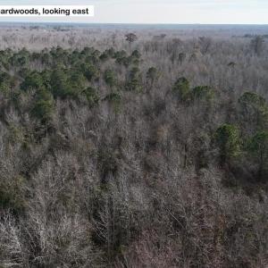 DJI_20260107122536_0594_D Large