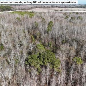 DJI_20260107122728_0598_D Large