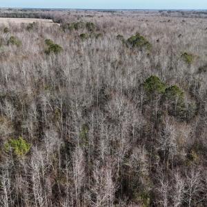 DJI_20260107122736_0599_D Large