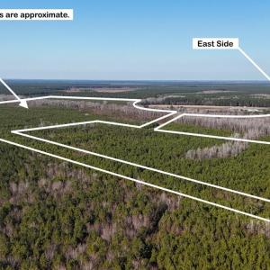 DJI_20260107140902_0642_D Large