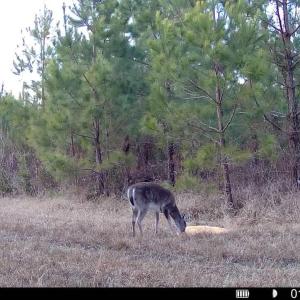 016578005039612-100-2-01122026170936-SYF