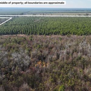 DJI_20260107123253_0609_D Large