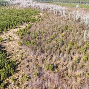 DJI_20260107123405_0612_D Large