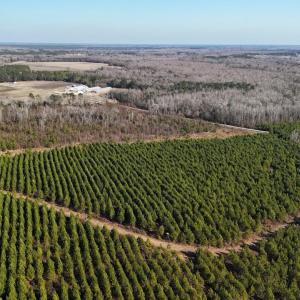 DJI_20260107132019_0633_D Large