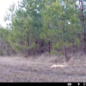 016578005039612-100-2-01122026165851-SYF