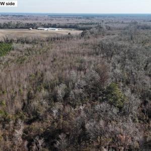 DJI_20260107131435_0627_D Large