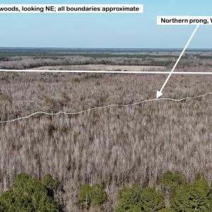 DJI_20260107141939_0659_D Large