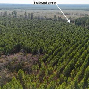 DJI_20260107130722_0615_D Large