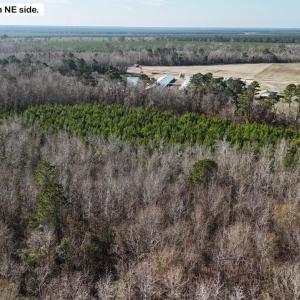 DJI_20260107123140_0608_D Large