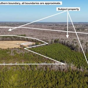 DJI_20260107141006_0646_D Large