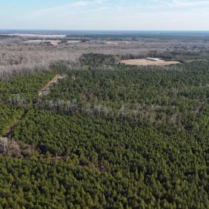 DJI_20260107132014_0632_D Large