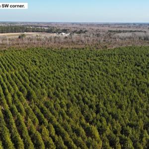 DJI_20260107130807_0618_D Large