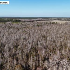 DJI_20260107141502_0649_D Large