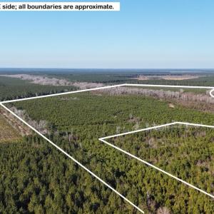 DJI_20260107140751_0639_D Large