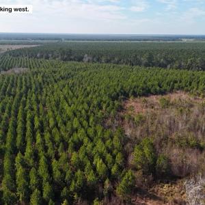 DJI_20260107122615_0583_D Large