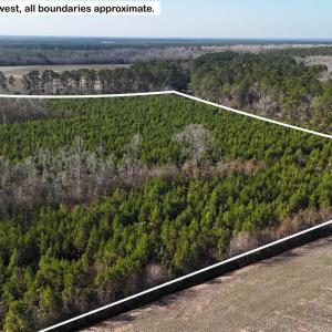 DJI_20260107122927_0602_D Large