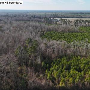 DJI_20260107122931_0603_D Large