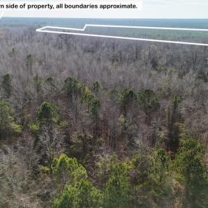 DJI_20260107122524_0592_D Large