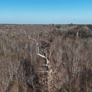 DJI_20260107141732_0657_D Large