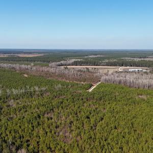 DJI_20260107140800_0640_D Large