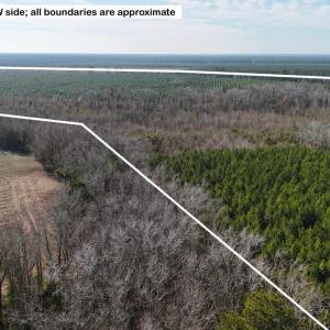 DJI_20260107122532_0582_D Large