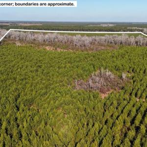 DJI_20260107130814_0619_D Large