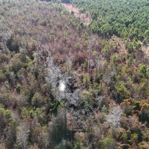 DJI_20260107122712_0587_D Large