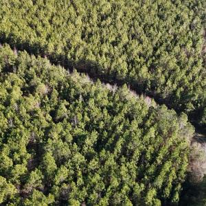 DJI_20260107140920_0644_D Large