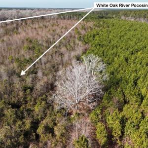 DJI_20260107122236_0572_D Large