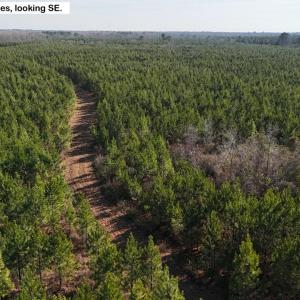 DJI_20260107130654_0613_D Large