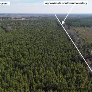 DJI_20260107130756_0616_D Large