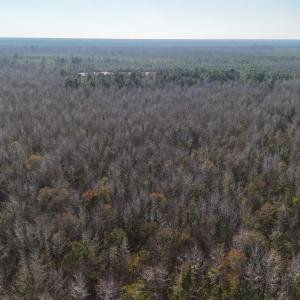 DJI_20260107141521_0653_D Large