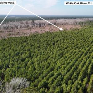 DJI_20260107122526_0581_D Large