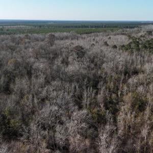 DJI_20260107141516_0652_D Large