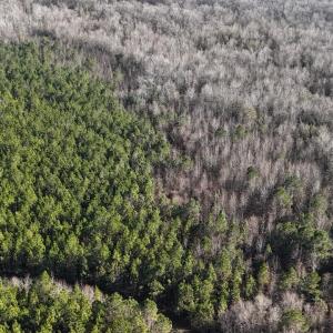 DJI_20260107140938_0645_D Large