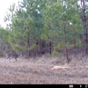 016578005039612-100-2-01132026171724-SYF