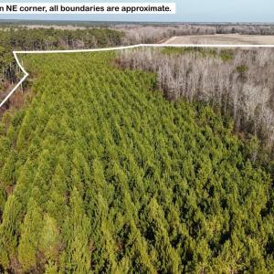 DJI_20260107122714_0597_D Large