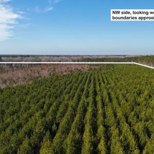 DJI_20260107122152_0567_D Large