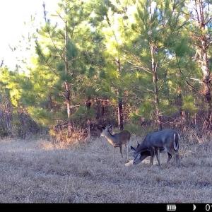 016578005039612-100-2-01132026161148-SYF