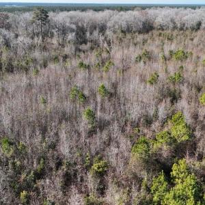 DJI_20260107122308_0574_D Large