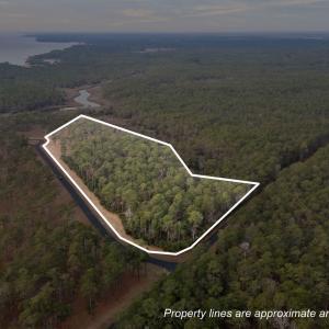 5-web-or-mls-DJI_20260114084413_0068_D_1